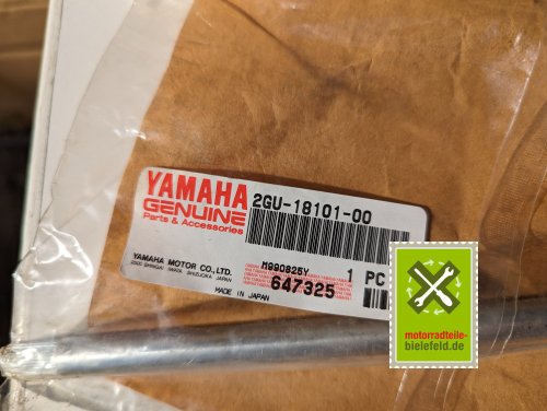 PXL_20240528_153053390